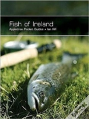 Capa do artigo Fish Of Ireland