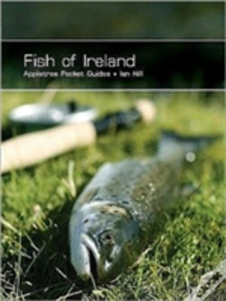 Capa do artigo Fish Of Ireland