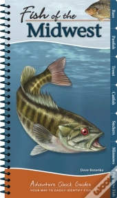 Fish Of The Midwest