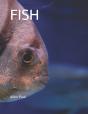 Fish - Preview
