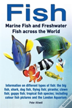 Capa do artigo Fish