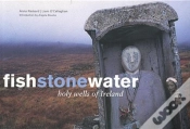 Capa do artigo Fish Stone Water