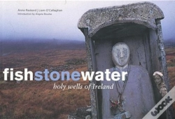 Capa do artigo Fish Stone Water