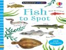 Fish To Spot