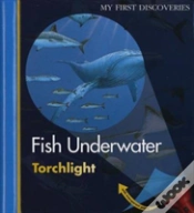 Capa do artigo Fish Underwater