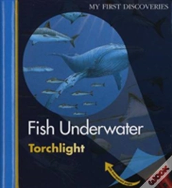 Capa do artigo Fish Underwater