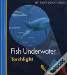 Fish Underwater