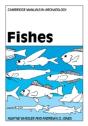 Fishes - Preview