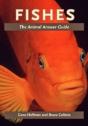 Fishes - Preview