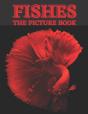 Fishes - Preview