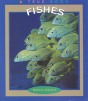 Fishes - Preview