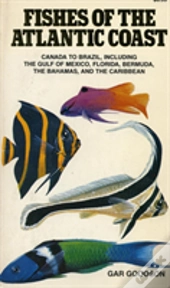 Fishes Of The Atlantic Coast