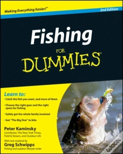 Capa do artigo Fishing For Dummies