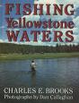 Fishing Yellowstone Waters - Preview