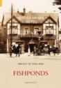 Fishponds - Preview