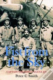 Capa do artigo Fist From The Sky