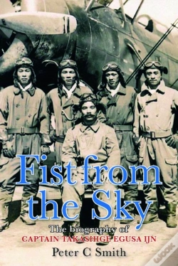 Capa do artigo Fist From The Sky