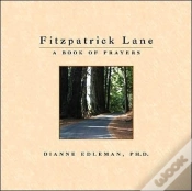 Capa do artigo Fitzpatrick Lane