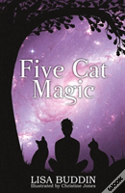 Capa do artigo Five Cat Magic