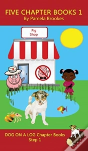 Capa do artigo Five Chapter Books 1