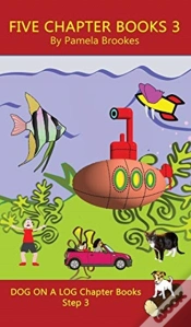 Capa do artigo Five Chapter Books 3