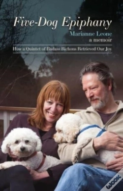 Capa do artigo Five-Dog Epiphany