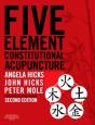 Five Element Constitutional Acupuncture - Preview