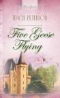 Five Geese Flying - Preview