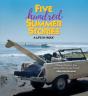 Five Hundred Summer Stories - Preview