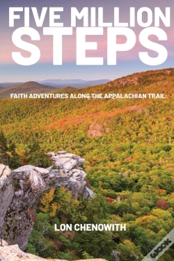 Capa do artigo Five Million Steps
