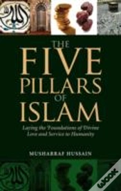 Capa do artigo Five Pillars