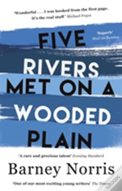 Capa do artigo Five Rivers Met On A Wooded Plain