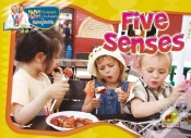 Capa do artigo Five Senses