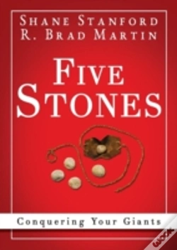 Capa do artigo Five Stones