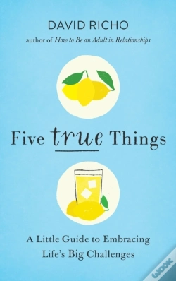 Capa do artigo Five True Things