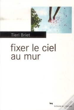 Capa do artigo Fixer Le Ciel Au Mur
