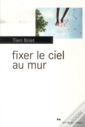 Fixer Le Ciel Au Mur