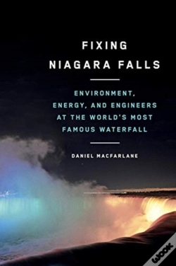 Capa do artigo Fixing Niagara Falls