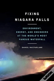 Capa do artigo Fixing Niagara Falls