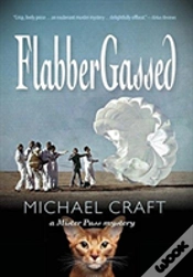 Capa do artigo Flabbergassed