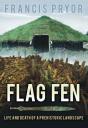 Flag Fen - Preview