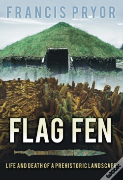 Capa do artigo Flag Fen