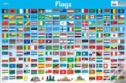 Capa do artigo Flags