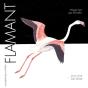 Flamant - Preview
