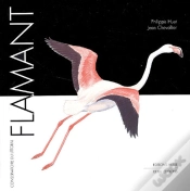 Capa do artigo Flamant
