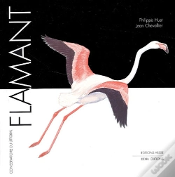 Capa do artigo Flamant