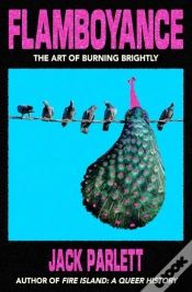 Capa do artigo Flamboyance