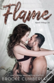 Capa do artigo Flame