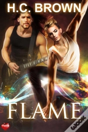 Capa do artigo Flame