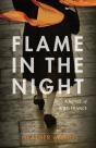 Flame In The Night - Preview